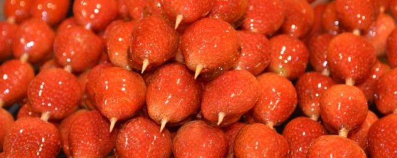  草莓冰糖葫芦制作方法