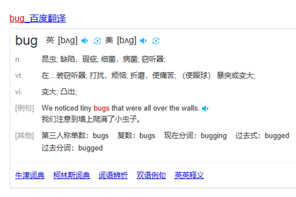  bug是啥意思