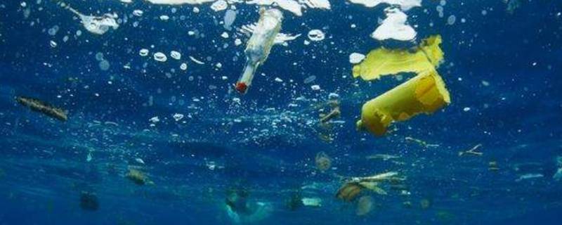  为啥海洋生物会吞食塑料