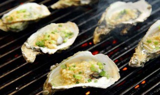  牡蛎的食用方法 牡蛎的食用方法推荐