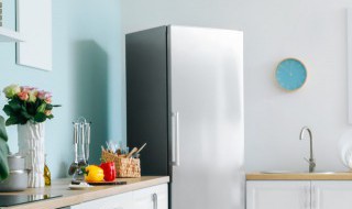 冰箱啥时候发明的 冰箱发明时间
