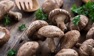 蘑菇的营养学特点 蘑菇中这些物质含量最高