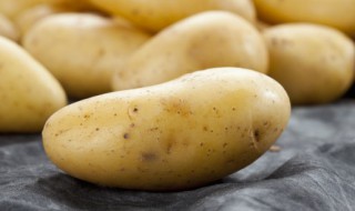 如何判断土豆是否发芽 怎么判断土豆已经发芽了