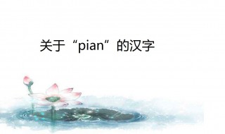  pian的汉字 其中关于片字的成语有哪些