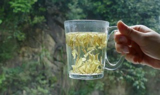  建德苞茶的冲泡方法及功效作用 建德苞茶的冲泡有哪些方法及功效作用