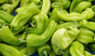  青椒是否能直接吃 青椒能生吃吗