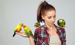 怎么教你的鹦鹉爱你 如何和鹦鹉培养感情
