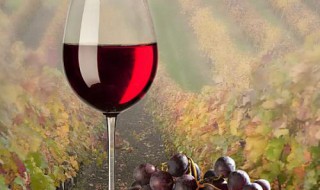  萄葡酒的酿制方法 以红酒为例