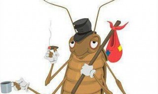  84消毒液可以消灭蟑螂 是真的吗