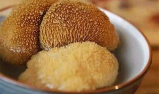  干猴头菇一般泡多久 干猴头菇如何泡发最好