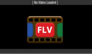  flv用啥播放器 使用操作学一学