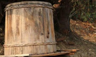  圆桶蜂箱制作方法 养一桶蜜蜂吃蜂蜜