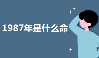  1987年是啥命 1987属相命运解析