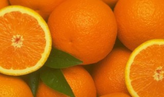  橙子的网络意思是啥 橙子的网络意思是什么