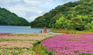 广州石门国家森林公园地址 是一个很美丽的公园